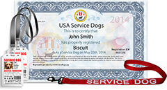 Thesis statement on service dogs