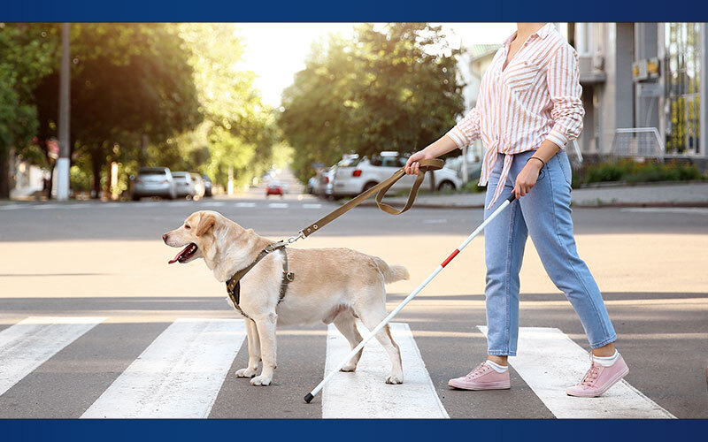 Types of Service Dogs