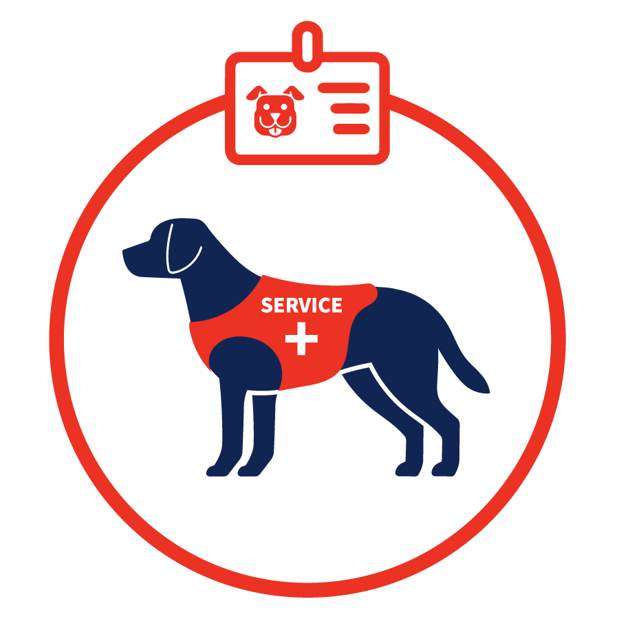 Can You Get A Service Dog For Social Anxiety