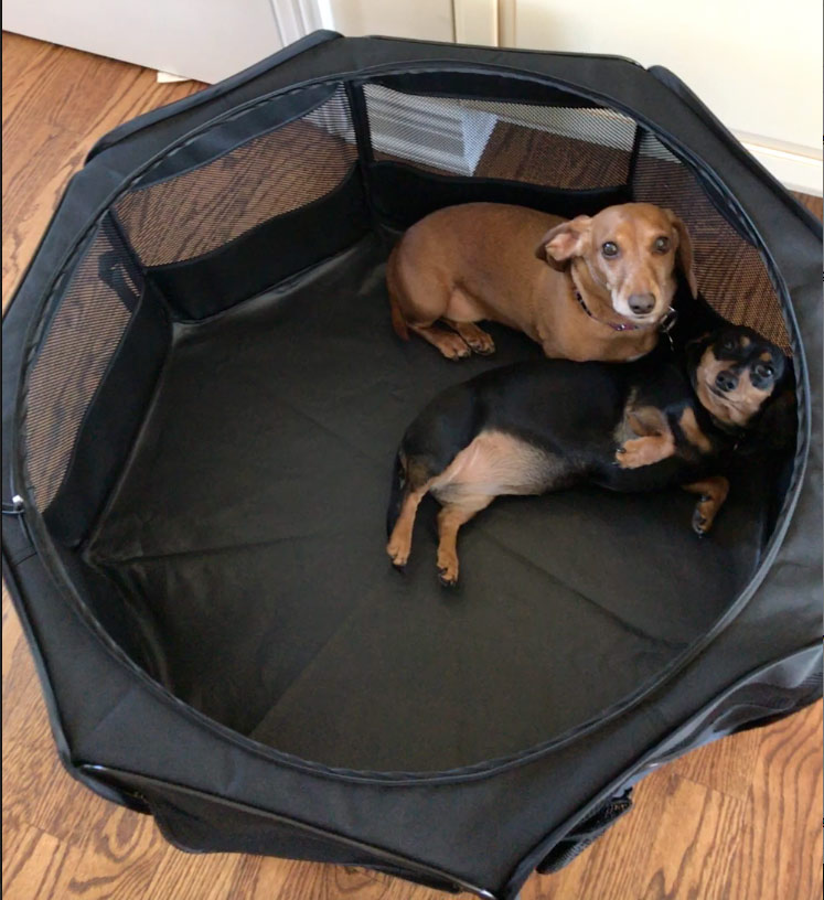 Foldable Pet Playpen USA Service Dogs
